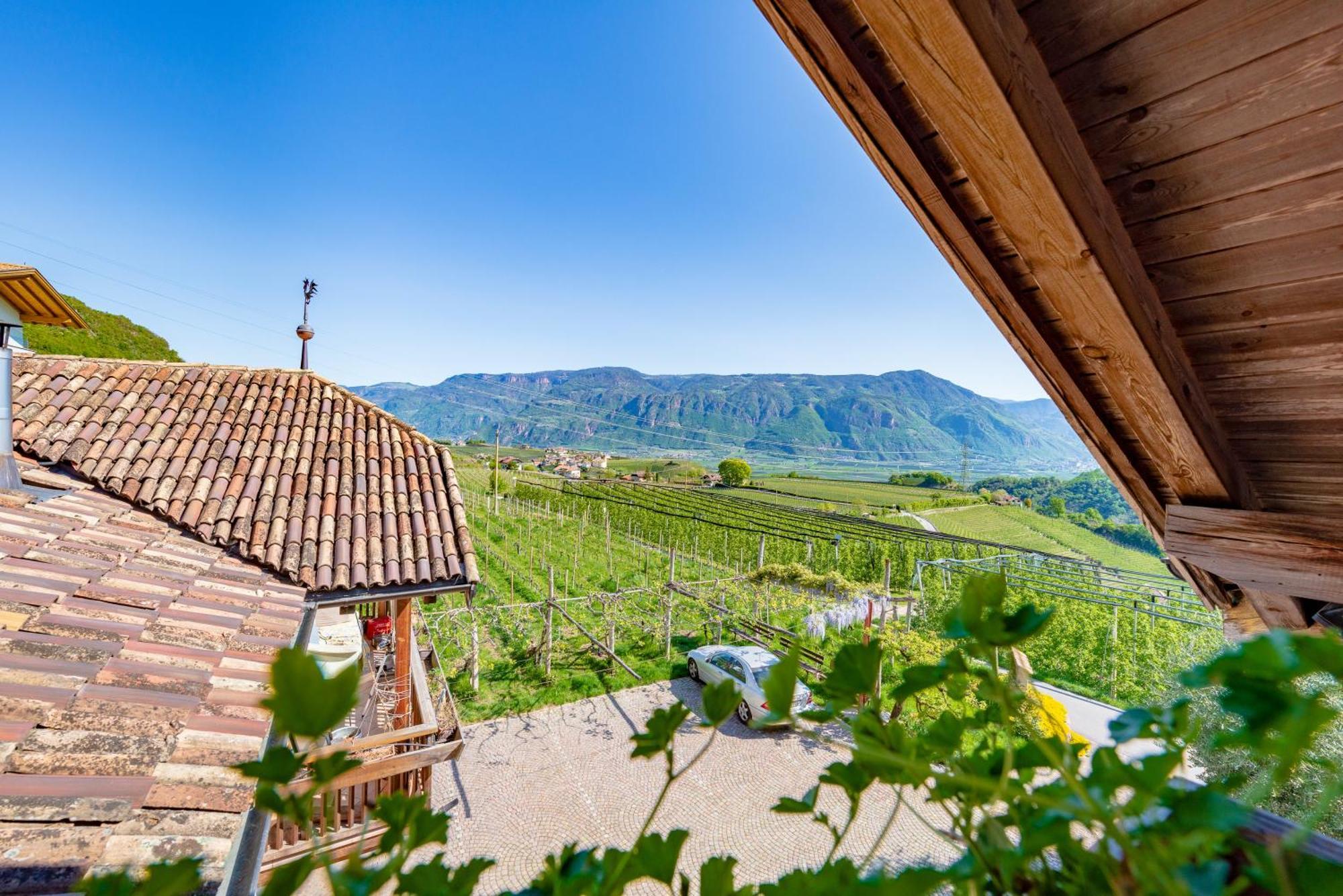 Gfillhof Ferienwohnung 3 Appiano Sulla Strada Del Vino Eksteriør bilde